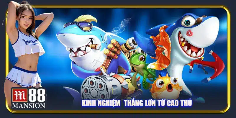 Cần tìm hiểu vũ khí khi săn cá Long Vương